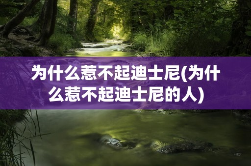 为什么惹不起迪士尼(为什么惹不起迪士尼的人)