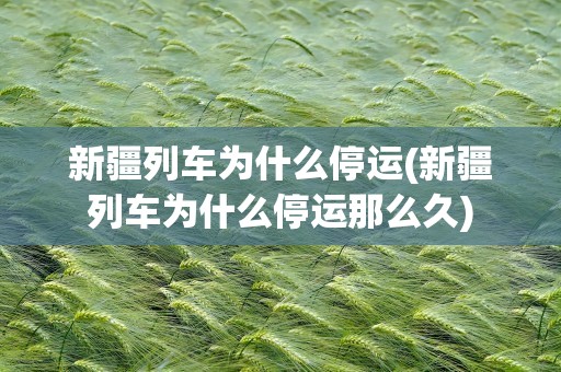新疆列车为什么停运(新疆列车为什么停运那么久)
