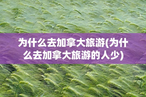 为什么去加拿大旅游(为什么去加拿大旅游的人少)