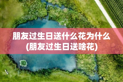 朋友过生日送什么花为什么(朋友过生日送啥花)