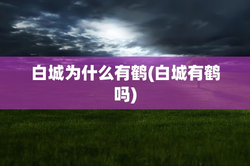 白城为什么有鹤(白城有鹤吗)