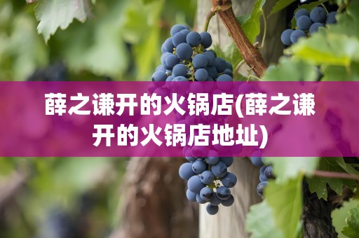 薛之谦开的火锅店(薛之谦开的火锅店地址)