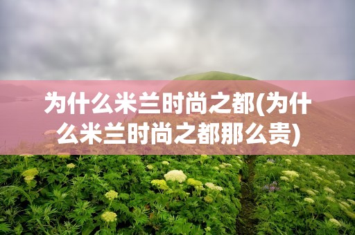 为什么米兰时尚之都(为什么米兰时尚之都那么贵)