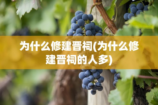 为什么修建晋祠(为什么修建晋祠的人多)