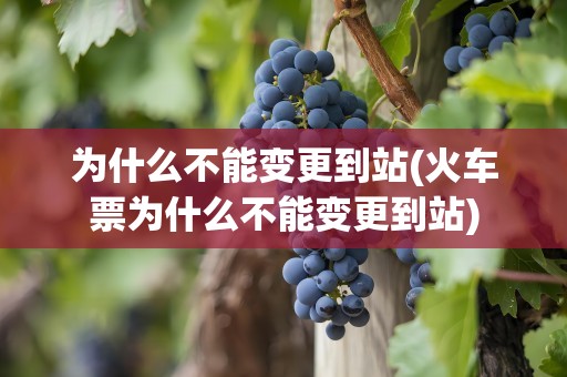 为什么不能变更到站(火车票为什么不能变更到站)