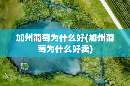加州葡萄为什么好(加州葡萄为什么好卖)