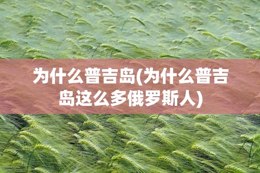 为什么普吉岛(为什么普吉岛这么多俄罗斯人)