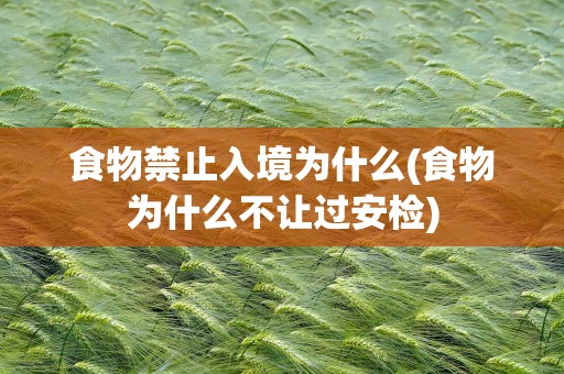 食物禁止入境为什么(食物为什么不让过安检)
