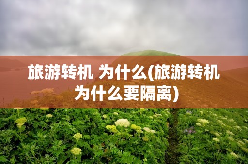 旅游转机 为什么(旅游转机 为什么要隔离)