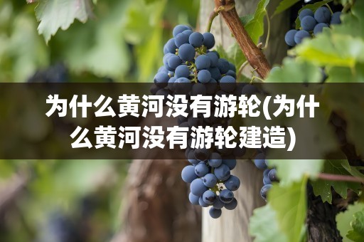 为什么黄河没有游轮(为什么黄河没有游轮建造)