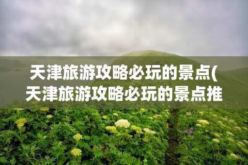 天津旅游攻略必玩的景点(天津旅游攻略必玩的景点推荐)