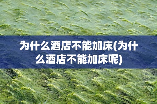 为什么酒店不能加床(为什么酒店不能加床呢)
