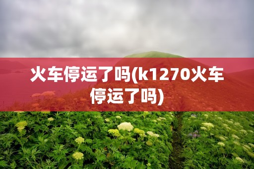 火车停运了吗(k1270火车停运了吗)
