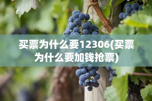 买票为什么要12306(买票为什么要加钱抢票)