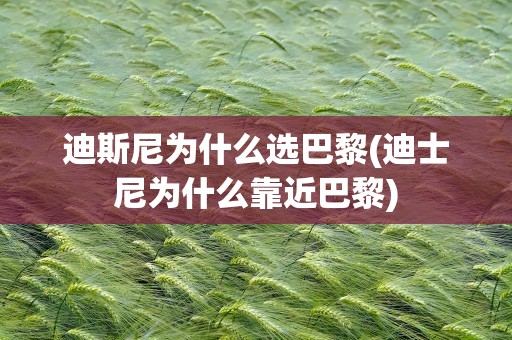 迪斯尼为什么选巴黎(迪士尼为什么靠近巴黎)