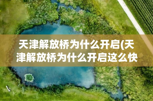 天津解放桥为什么开启(天津解放桥为什么开启这么快)