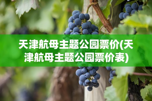 天津航母主题公园票价(天津航母主题公园票价表)
