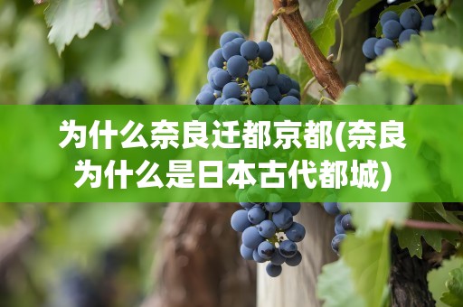为什么奈良迁都京都(奈良为什么是日本古代都城)