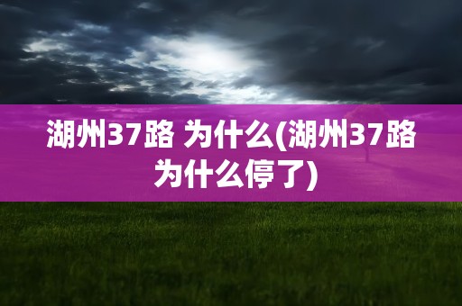 湖州37路 为什么(湖州37路 为什么停了)