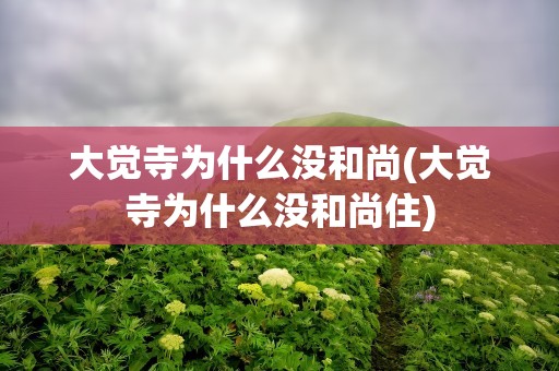 大觉寺为什么没和尚(大觉寺为什么没和尚住)