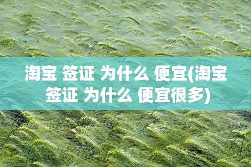 淘宝 签证 为什么 便宜(淘宝 签证 为什么 便宜很多)