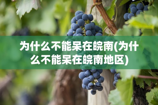为什么不能呆在皖南(为什么不能呆在皖南地区)