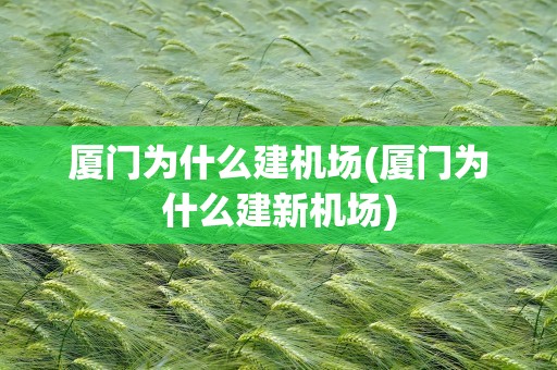 厦门为什么建机场(厦门为什么建新机场)