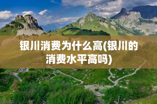 银川消费为什么高(银川的消费水平高吗)