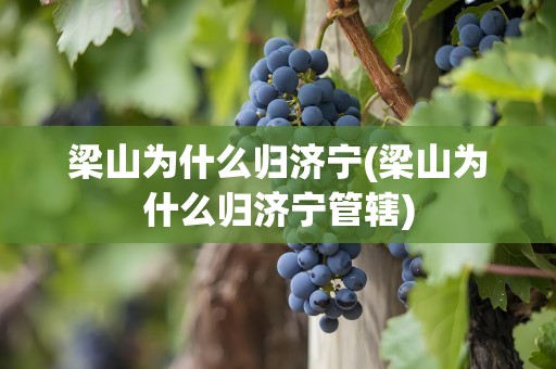 梁山为什么归济宁(梁山为什么归济宁管辖)