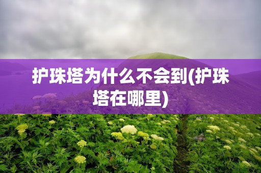 护珠塔为什么不会到(护珠塔在哪里)