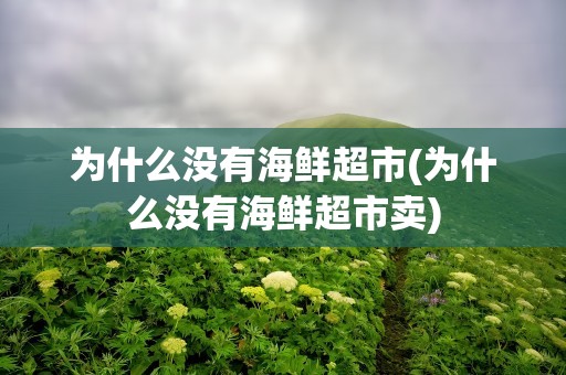 为什么没有海鲜超市(为什么没有海鲜超市卖)