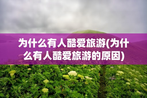 为什么有人酷爱旅游(为什么有人酷爱旅游的原因)