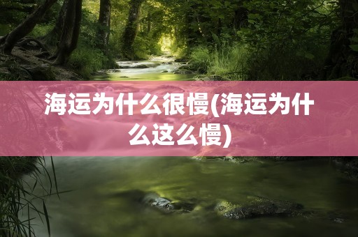 海运为什么很慢(海运为什么这么慢)
