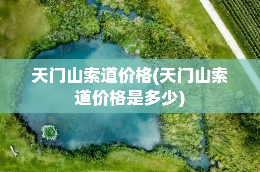 天门山索道价格(天门山索道价格是多少)