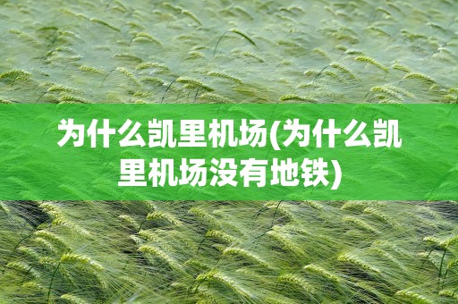 为什么凯里机场(为什么凯里机场没有地铁)
