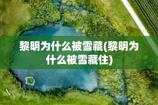 黎明为什么被雪藏(黎明为什么被雪藏住)