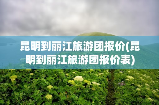 昆明到丽江旅游团报价(昆明到丽江旅游团报价表)