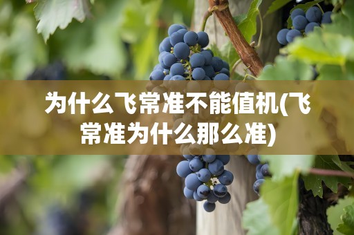 为什么飞常准不能值机(飞常准为什么那么准)