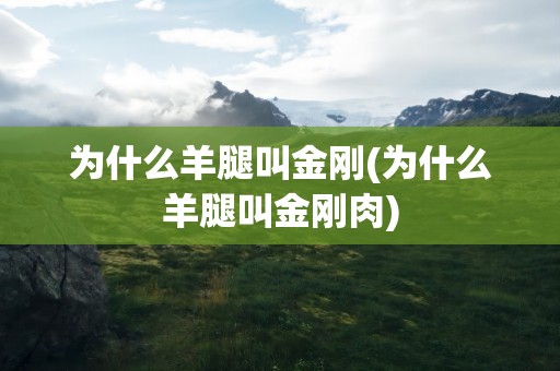 为什么羊腿叫金刚(为什么羊腿叫金刚肉)