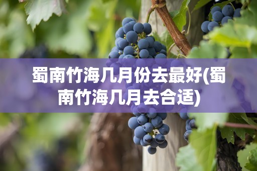 蜀南竹海几月份去最好(蜀南竹海几月去合适)
