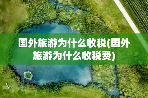 国外旅游为什么收税(国外旅游为什么收税费)