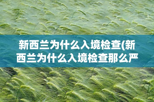 新西兰为什么入境检查(新西兰为什么入境检查那么严格)