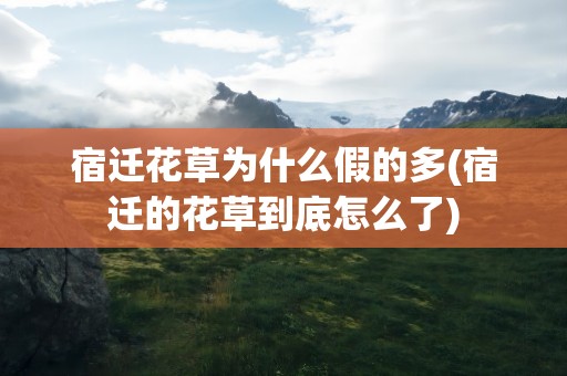 宿迁花草为什么假的多(宿迁的花草到底怎么了)