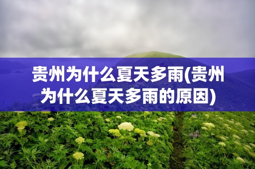 贵州为什么夏天多雨(贵州为什么夏天多雨的原因)