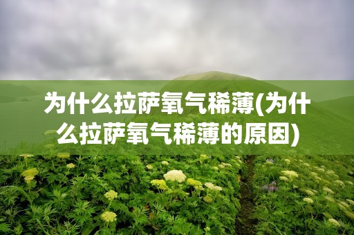 为什么拉萨氧气稀薄(为什么拉萨氧气稀薄的原因)