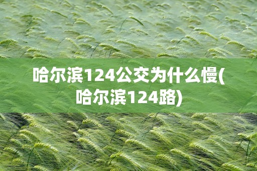 哈尔滨124公交为什么慢(哈尔滨124路)