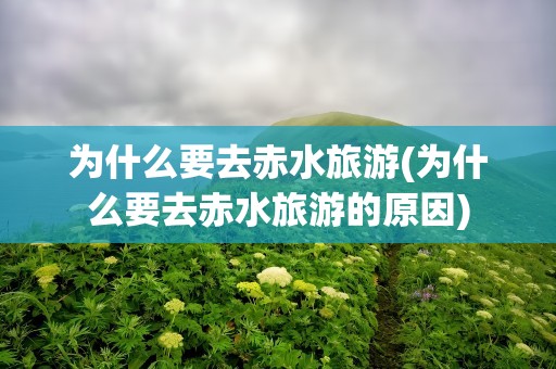 为什么要去赤水旅游(为什么要去赤水旅游的原因)