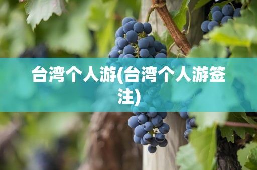 台湾个人游(台湾个人游签注)