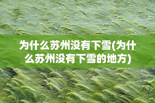 为什么苏州没有下雪(为什么苏州没有下雪的地方)