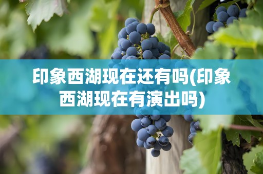 印象西湖现在还有吗(印象西湖现在有演出吗)